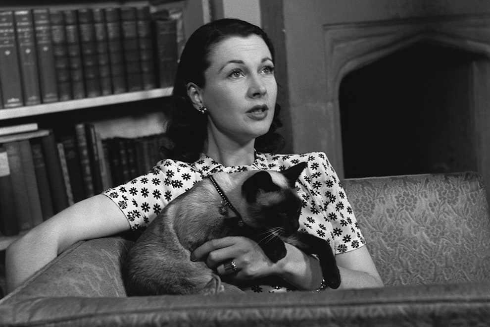 Вивьен Ли в своем доме в Лондоне 1946