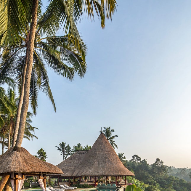 Этой зимой отдыхайте в отеле Viceroy Bali