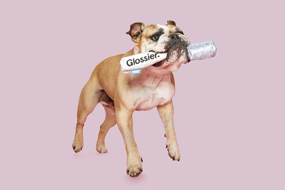 Glossier создали плюшевую косметику для собак — и это самые модные игрушки сентября