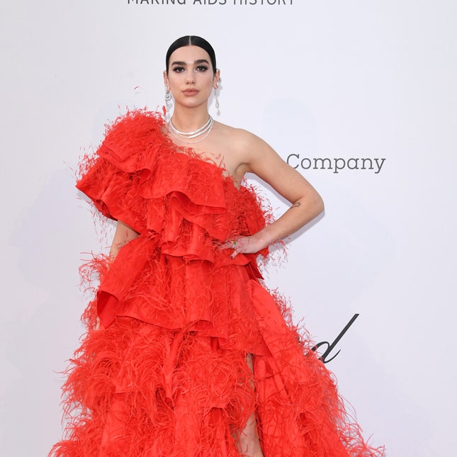 Гости ужина amfAR 2019 в Каннах