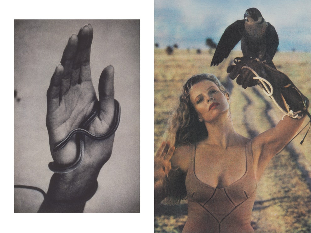 Шейла Мецнер «Рука обвитая змеей» 1994 «Ким Бейсингер. Африка» 1988