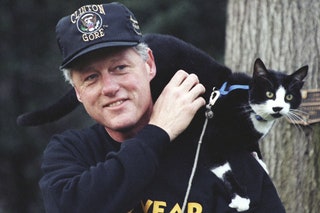 Президент Билл Клинтон сnbspкотом Соксом наnbspтерритории Белого дома 1993.