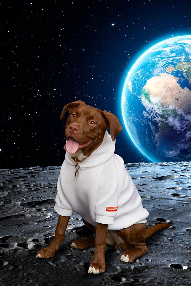 Heron Preston выпустили коллекцию одежды для собаккосмонавтов