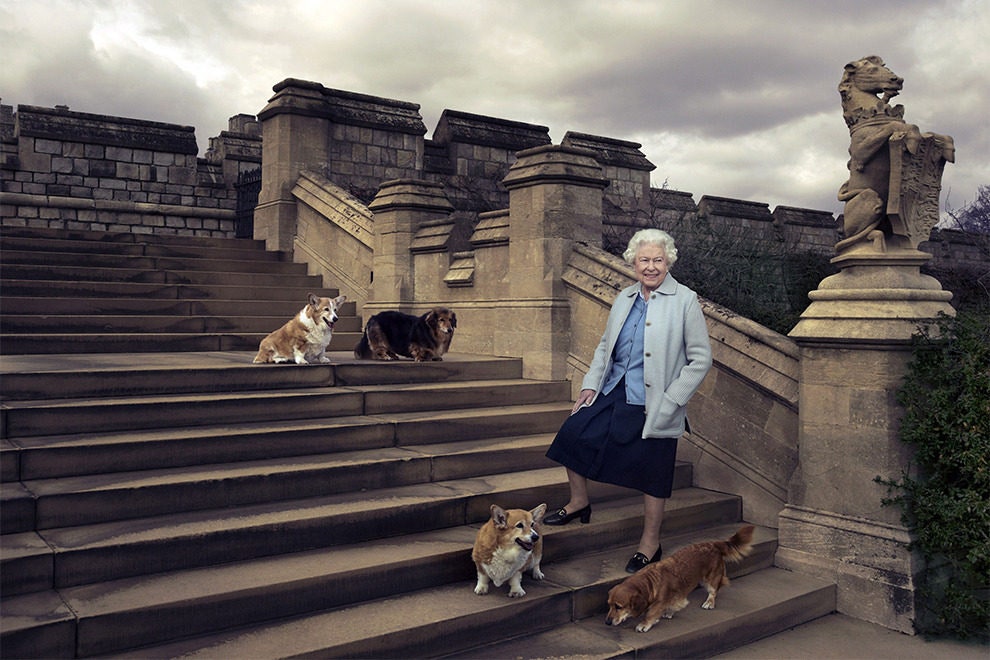 Королева Елизавета II в окружении любимых собак 2016. Фото Энни Лейбовиц