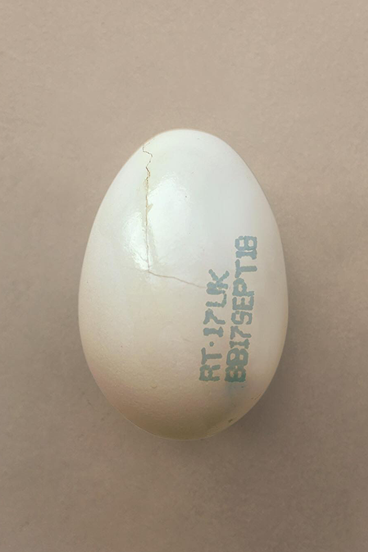 Burberry фото яйца в инстаграме  тизер коллекции весналето 2019