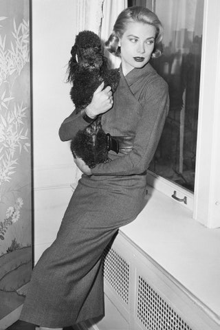 С пуделем Оливье в ньюйорских апартаментах актрисы март 1956.