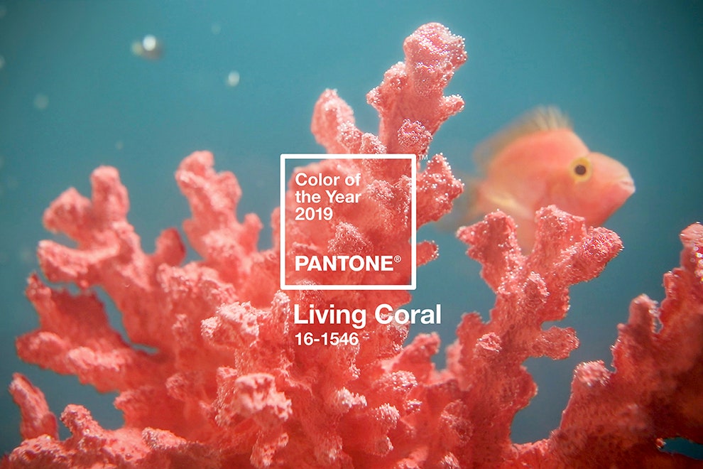 Цвет 2019 года  коралловый по версии Института цвета Pantone