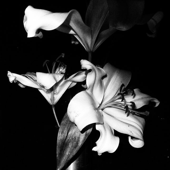 Черно-белый мир Saint Laurent в фотопроекте Энтони Ваккарелло для Paris Photo