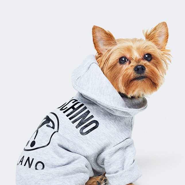 Одежда для собак Moschino х H&M
