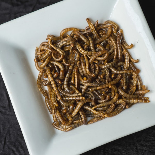 Почему насекомые полезнее мяса