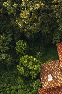 Отдых в Африке фото экокурорта OneOnly в тропическом лесу Руанды