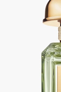 Эрин Лаудер представит новый цитрусоводревесный аромат Éclat de Vert