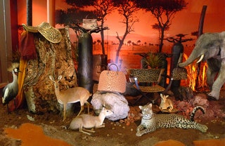 Витрина созданная Лейлой Менкари на Salon Maison et Objet 2010.