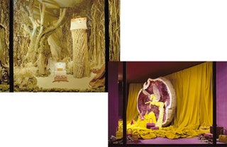 Витрина сезона весналето 1998. Витрина сезона осеньзима 2009 фото Guillaume de Laubier.