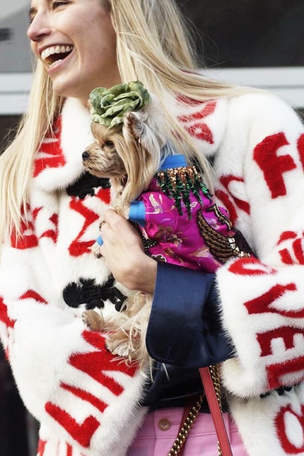 Неделя моды в Милане собака Лола  streetstyleзвезда