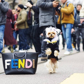 Fendi.