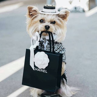 Chanel.
