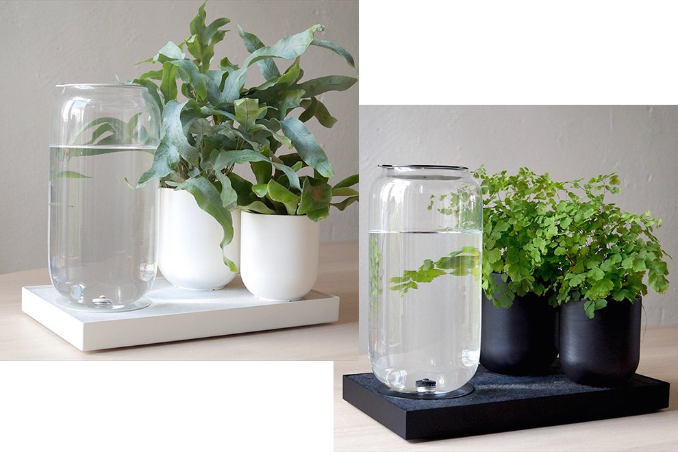 Устройства Pikaplant для комнатных растений горшок Jar платформа Tableau стеллаж One | Vogue
