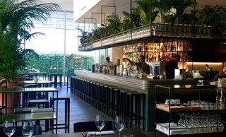 The Botanical Club.
