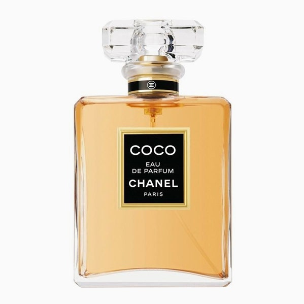 Малыши Coco Chanel и Coco Noir