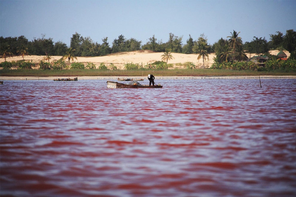 Розовые озера Ретба в Сенегале Соляные пруды в СанФранциско и другие | Vogue