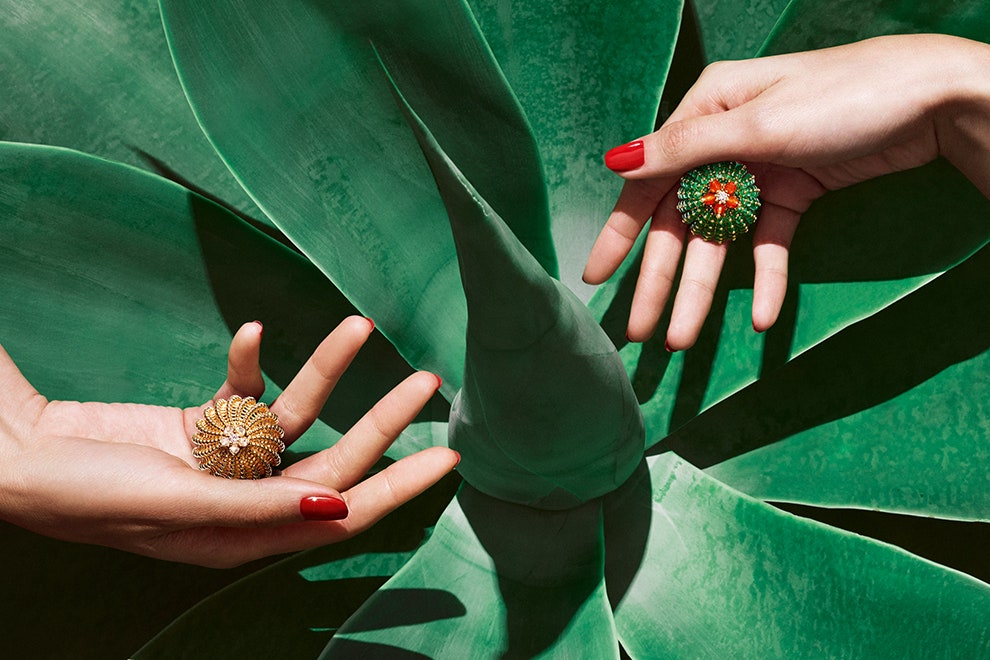 Cactus de Cartier коктейльные украшения в виде драгоценных кактусов | Vogue