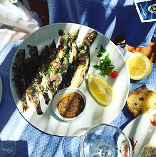 Лучшие рестораны СенТропе на берегу моря Bagatelle Beach Club 55 Les Graniers и другие | Vogue