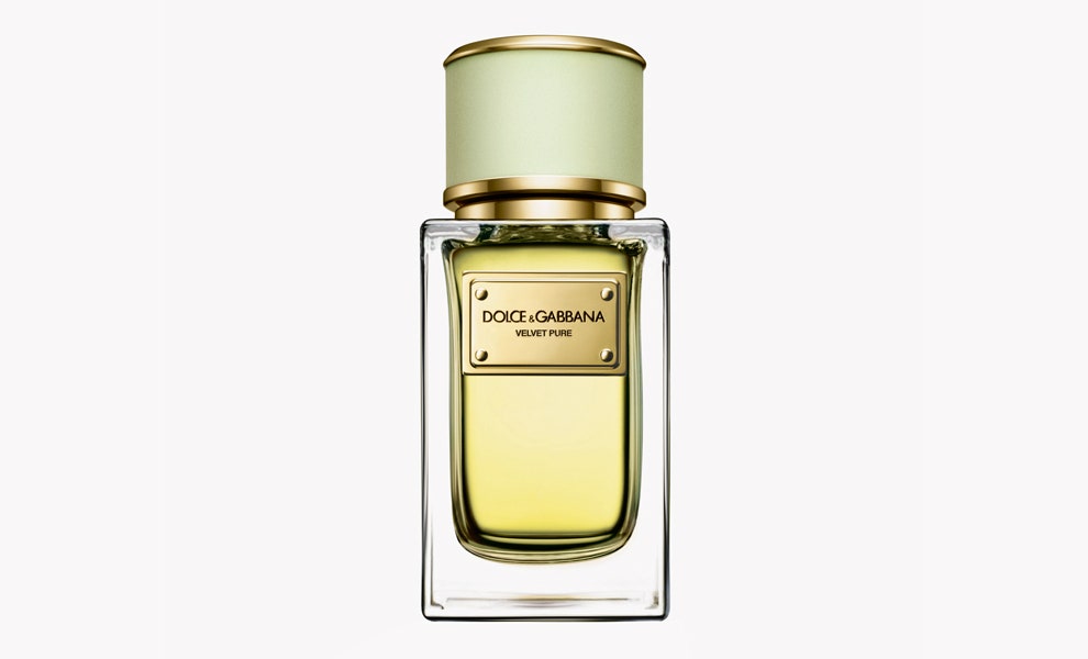Dolce  Gabbana Velvet Pure парфюмерная композиция на основе цветка резеды | Vogue