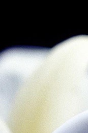 Kenzoki Belle de Jour антивозрастная маска с экстрактом белого лотоса | Vogue