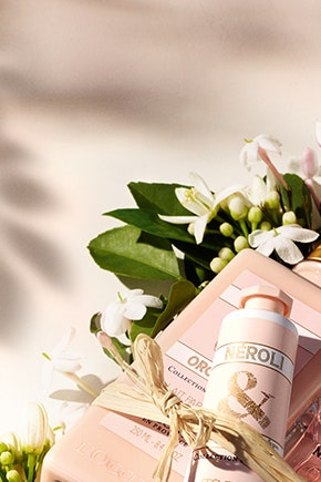 Новинки L'Occitane молочко для ванны сухое парфюмированное масло и блеск для губ | Vogue