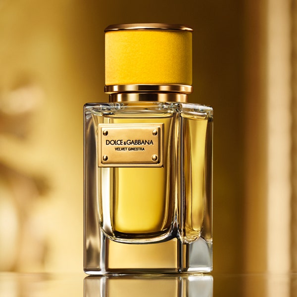Цветущий вулкан во флаконе Velvet Ginestra Dolce & Gabbana