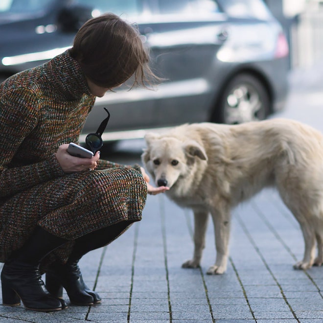Streetstyle на Mercedes-Benz Kiev Fashion Days