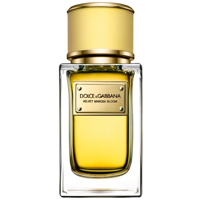 Velvet Dolce  Gabbana коллекция ароматов  бергамот и мимоза и экзотическая кожа | Vogue
