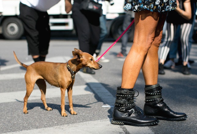 Streetstyle на Неделе моды в Милане. Часть 2