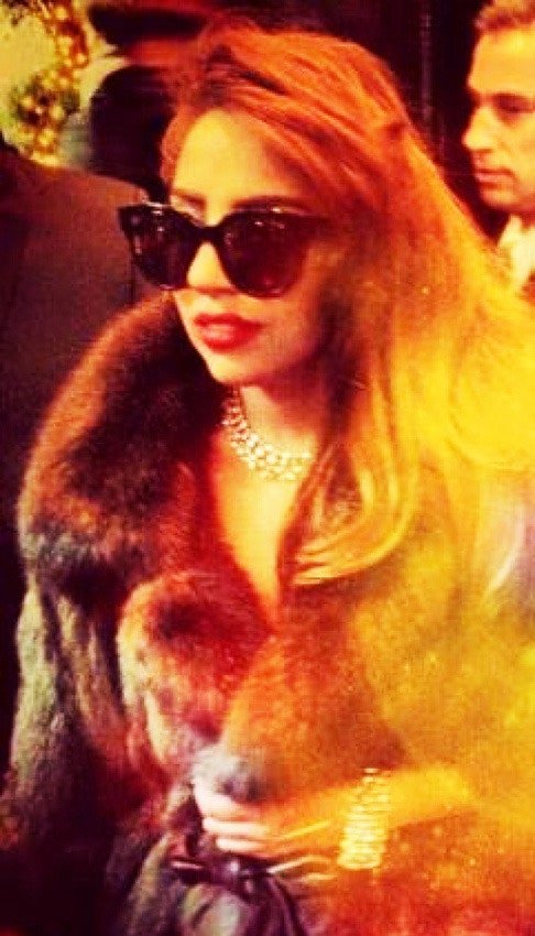 Леди Гага приобрела шубы в бутике Helen Yarmak