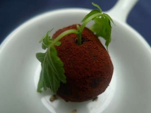 Выходные с московским вкусом
