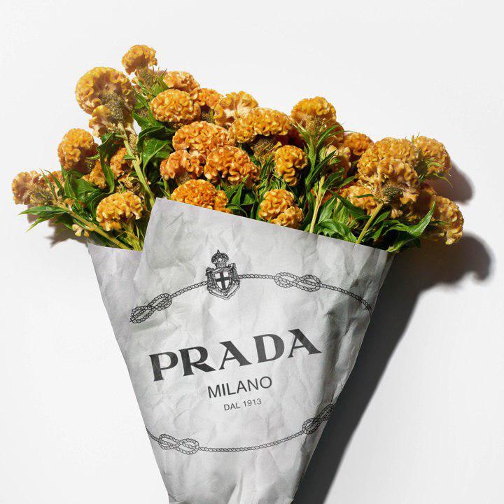 Как Prada повышают стандарты устойчивого развития