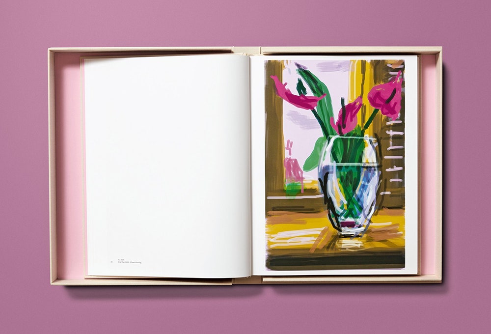 120 рисунков Дэвида Хокни с видом из его окна в новой книге Taschen