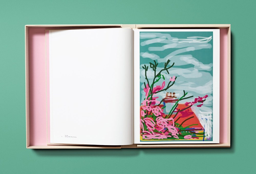 120 рисунков Дэвида Хокни с видом из его окна в новой книге Taschen