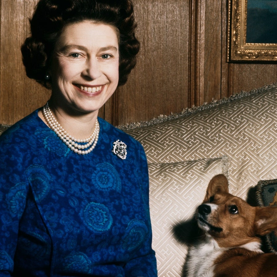 Как корги стали символом британской монархии