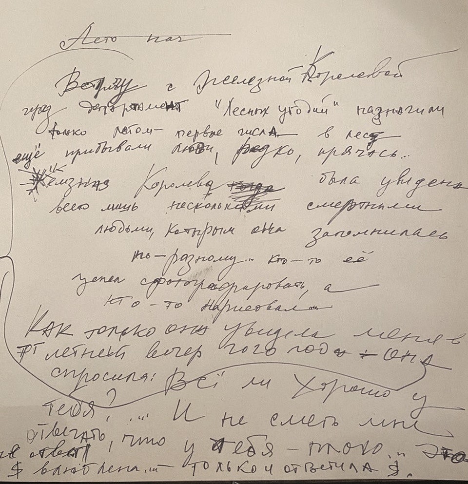 Рукопись Ренаты Литвиновой