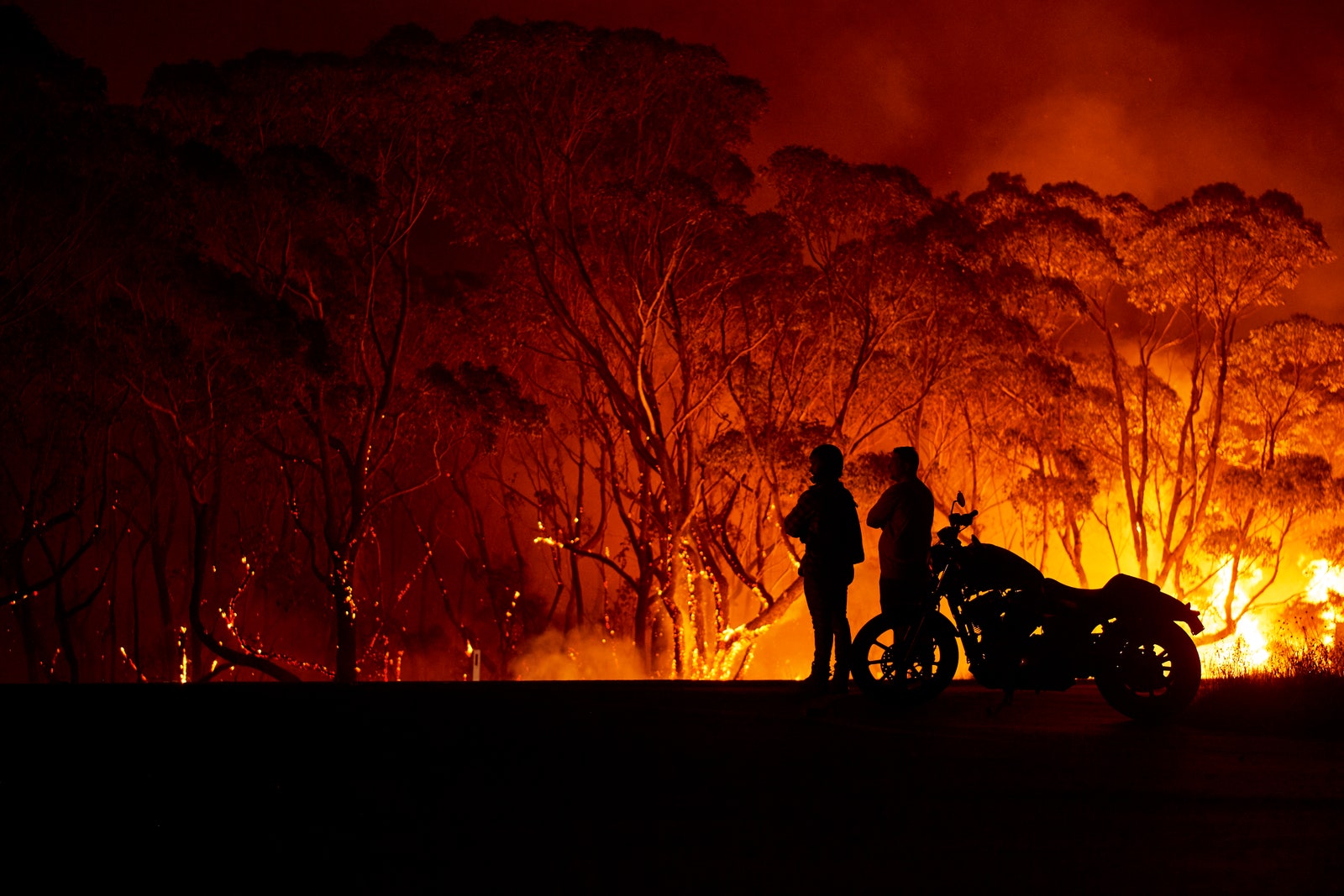 Пожары в Австралии январь 2020го