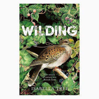 Wilding Изабелла Три 1491 amazon.co.uk  Унаследовав ферму более чем на тысячу гектаров в Западном Сассексе Изабелла Три...