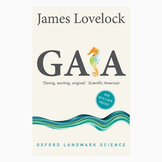 Gaia Джеймс Лавлок 669 amazon.co.uk  Гипотеза Геи что в переводе с древнегреческого означает «земля» была выдвинута...