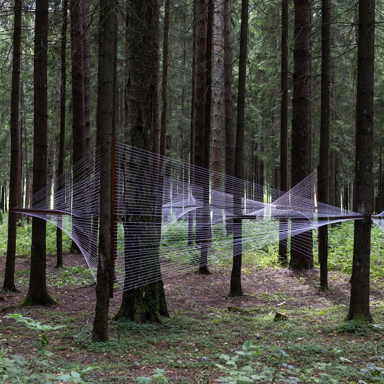 Павел Пепперштейн, Ирина Корина и еще 26 художников выставят свои работы в подмосковном лесу
