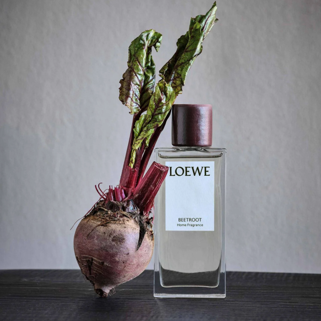 loewebeetrootduft Neues Parfum Loewe
