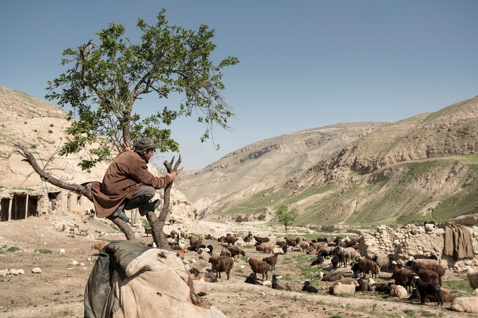 «Кашемировая инициатива» Burberry Афганистан