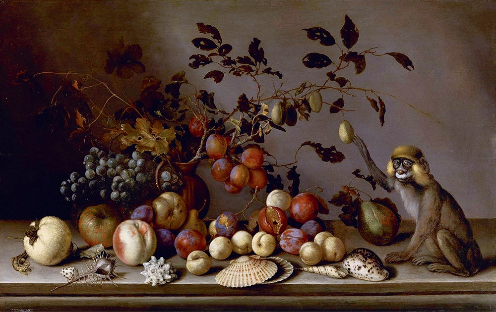 Бальтазар ван дер Аст 15931657 при участии Йоханнеса Баумана. «Натюрморт с фруктами раковинами и обезьянкой»