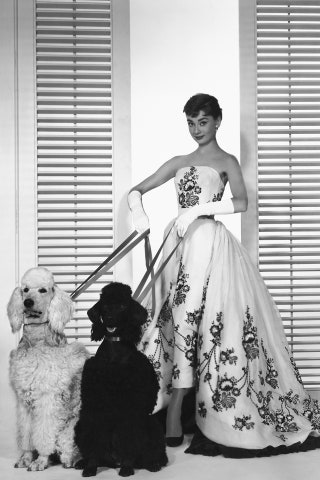 Одри Хепберн в платье Givenchy на съемках фильма «Сабрина»