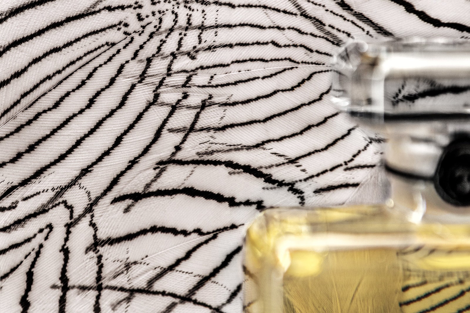 Chanel выпустили аромат Beige в оформлении мастеров Les Maison d'Art
